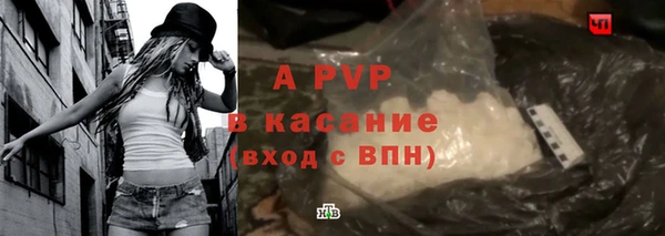 2c-b Бородино
