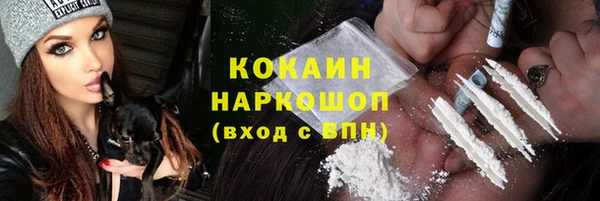 2c-b Бородино