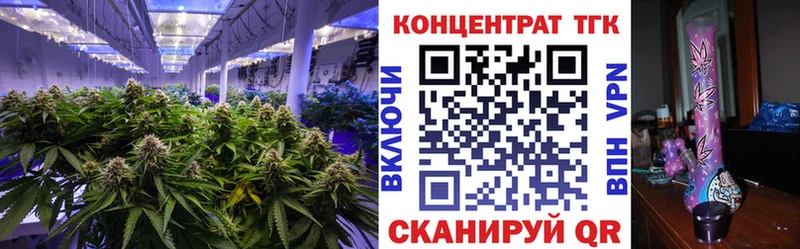 Купить закладки  Павлово  ТГК вейп 